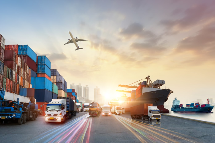 Logistics & Distribution (TMF)